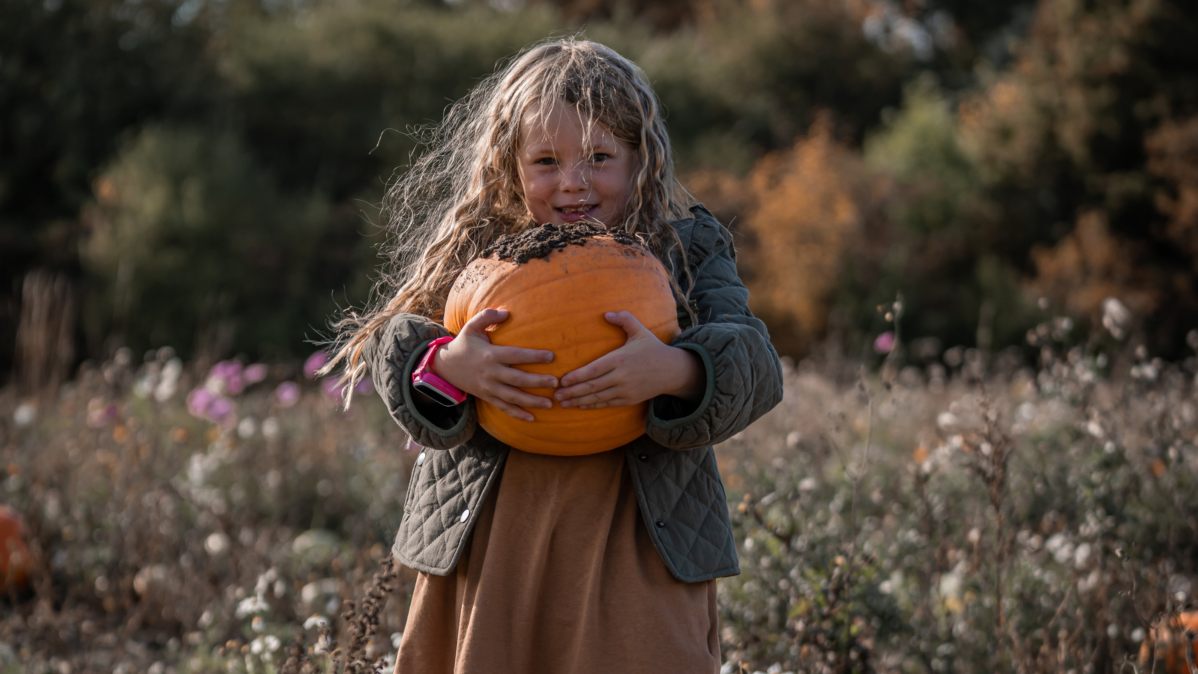 Godteri, gresskar og grøssere – hvorfor feirer vi halloween?